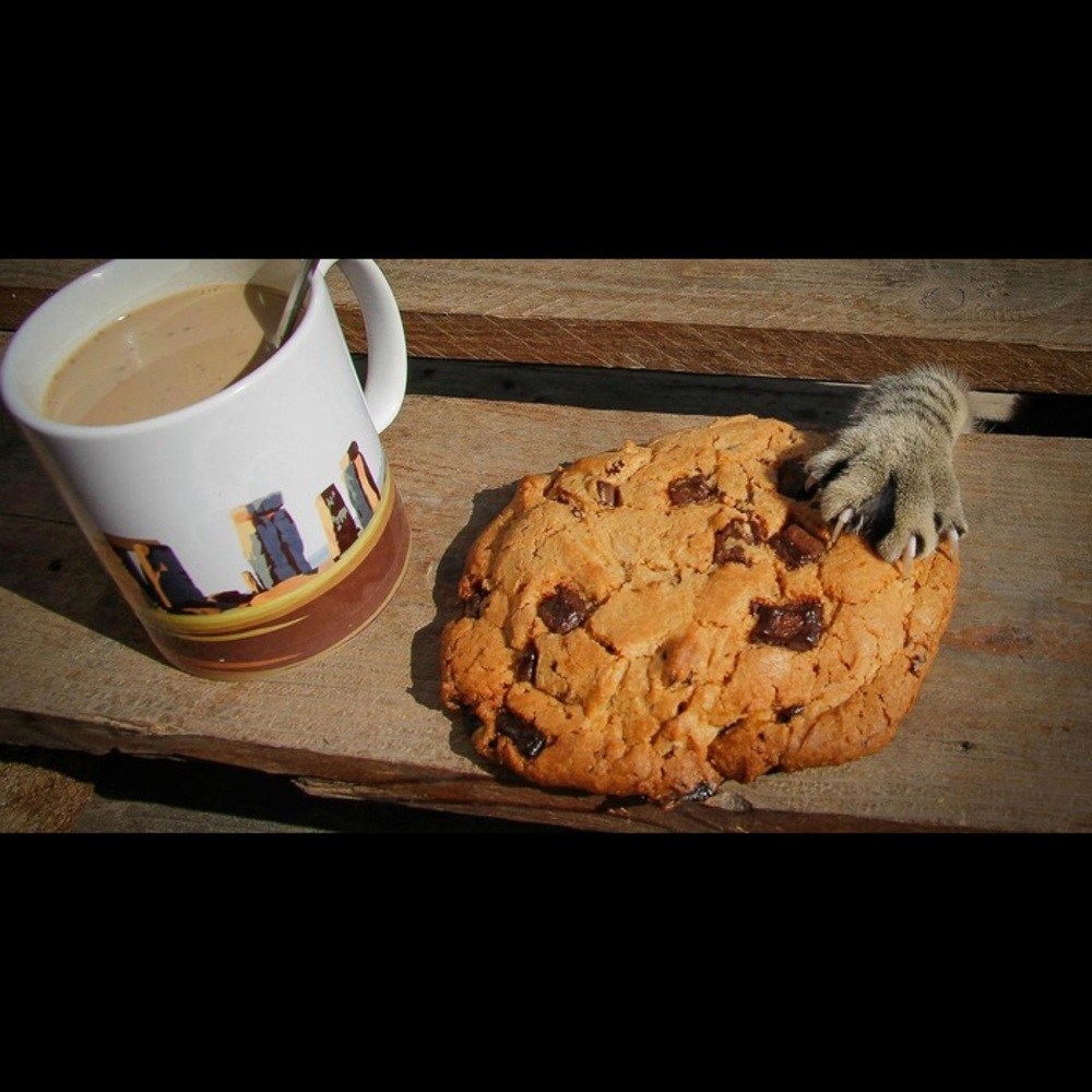 Meet your Posher, Candice